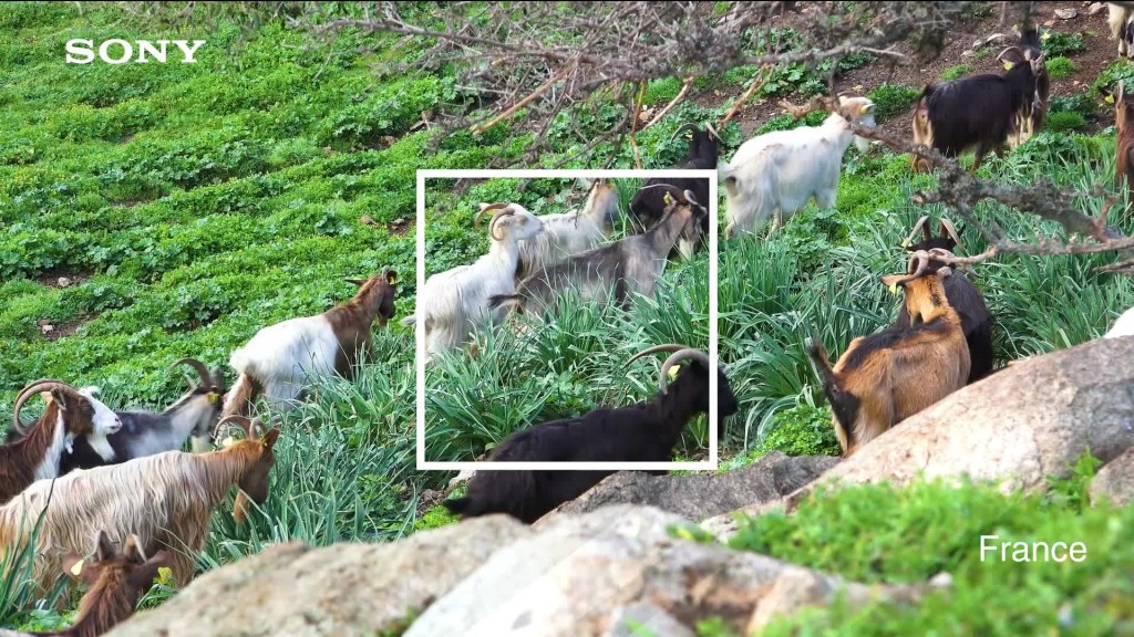 Corsica – Die Insel der Schönheit – Making Of (Sony PXW-X70)