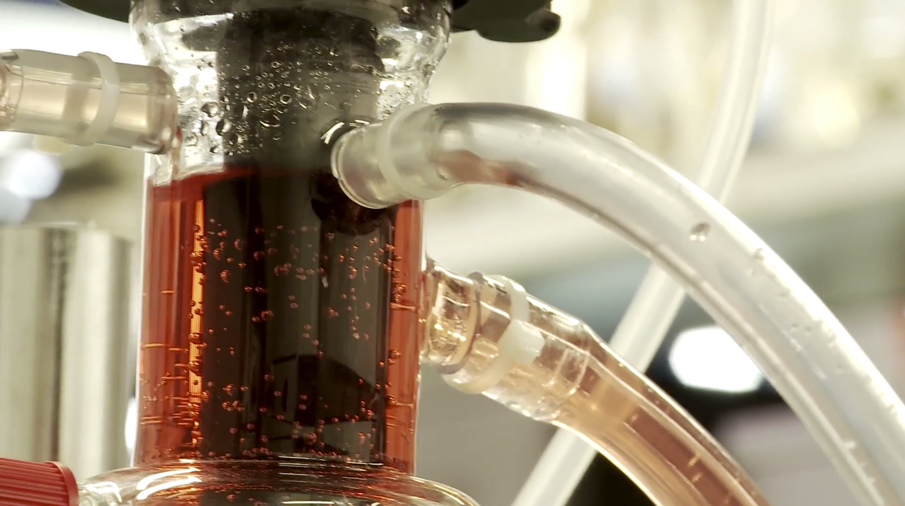 Fh Aachen University Of Applied Sciences 50 Jahre Campus Jülich